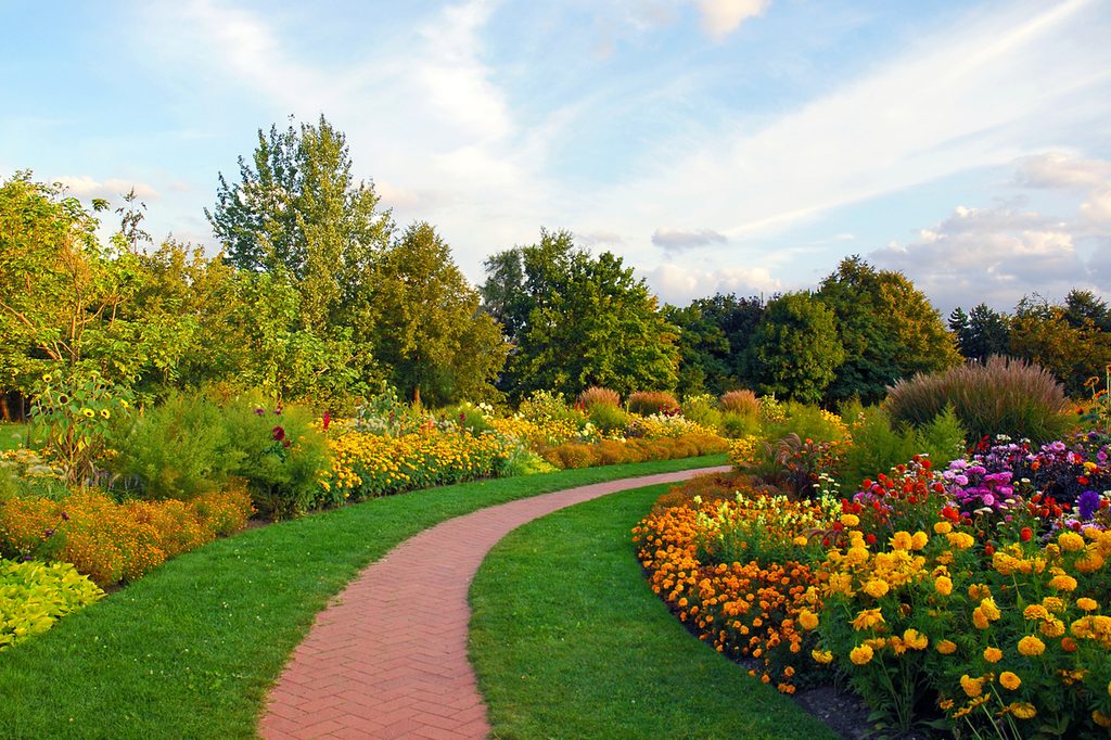 Blooming perennial flower garden along a walkway
