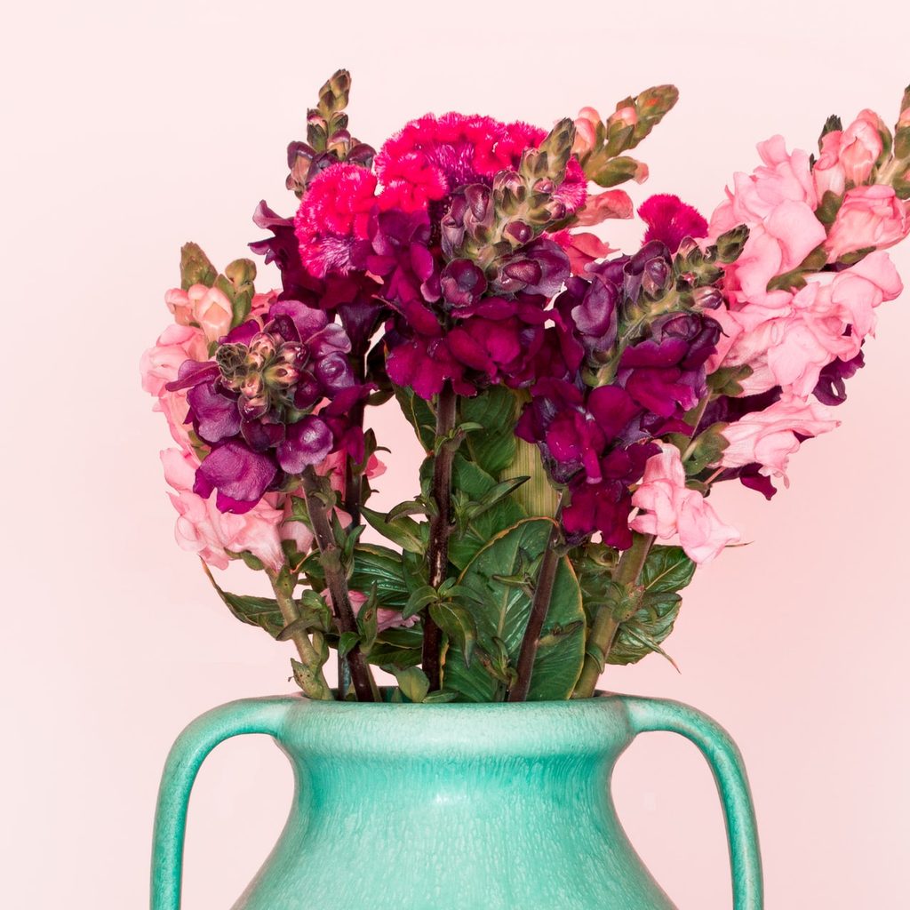 snapdragon flower arrangment