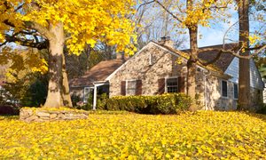 Stone house with yard full of golden leaves