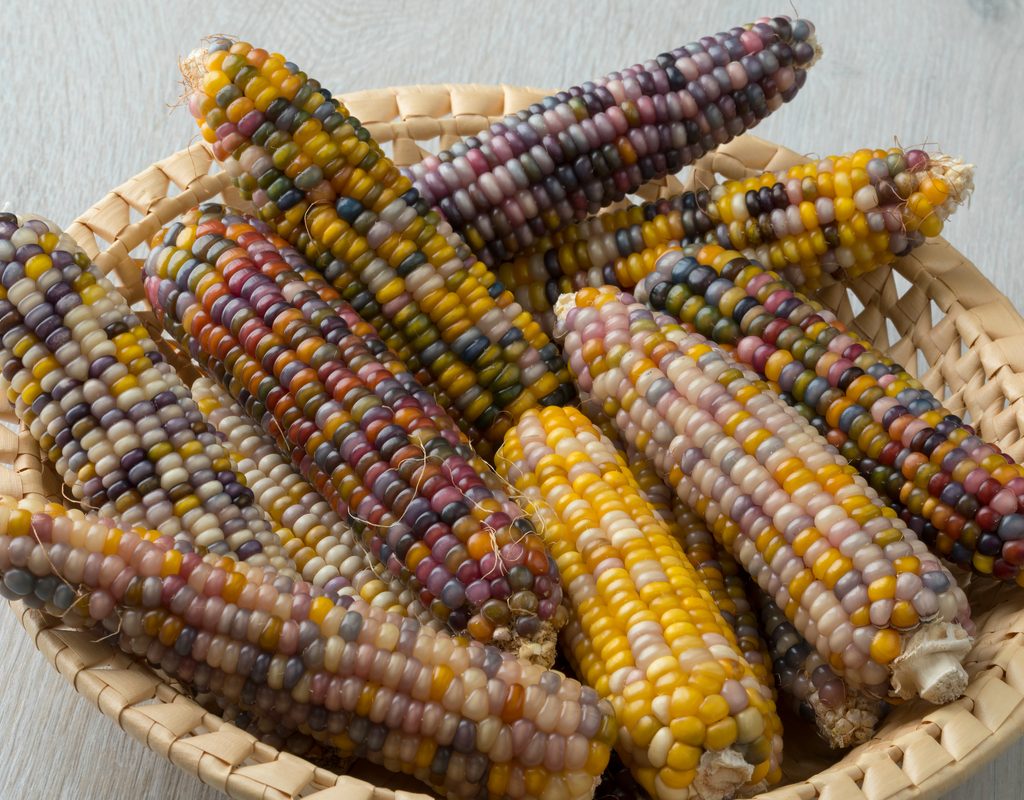 basket filled with glass gem corn on the cob