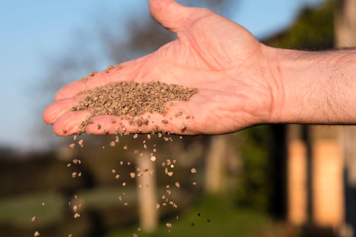 A hand holding and scattering bone meal