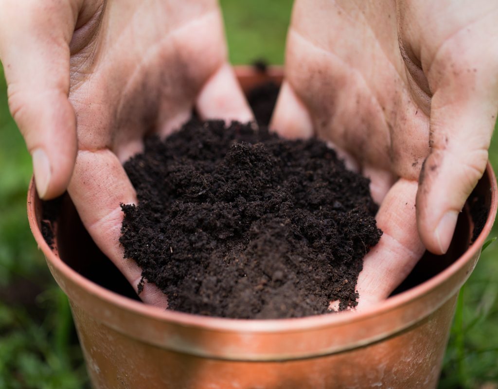 Hands scooping soil out of a flower pot