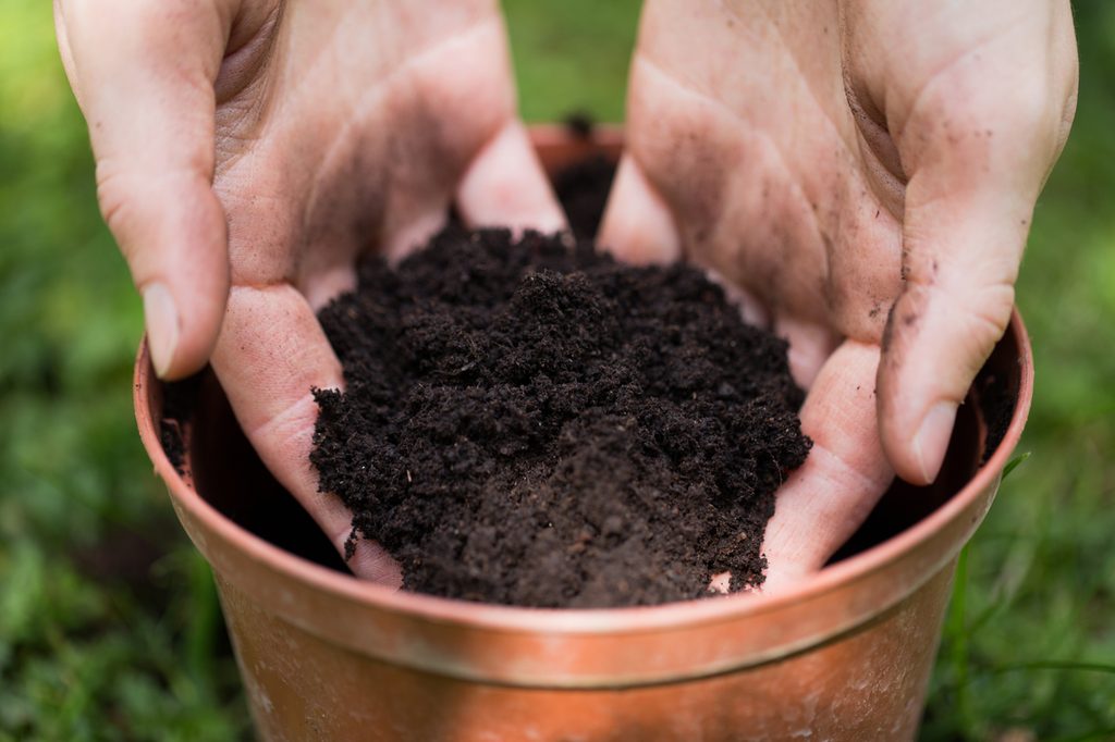 Hands scooping soil out of a flower pot
