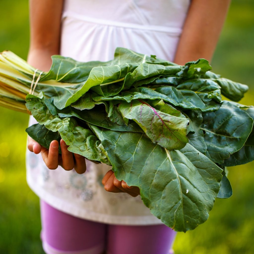 girl with swiss chard