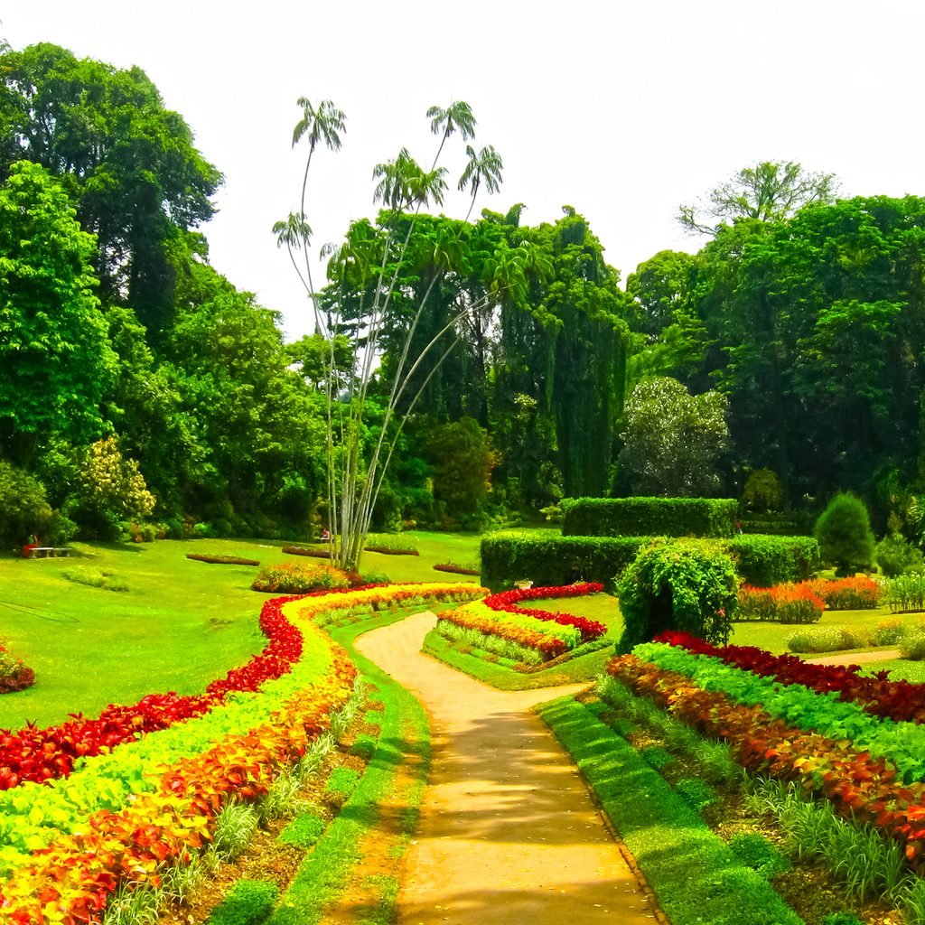 Sculptured gardens in countryside