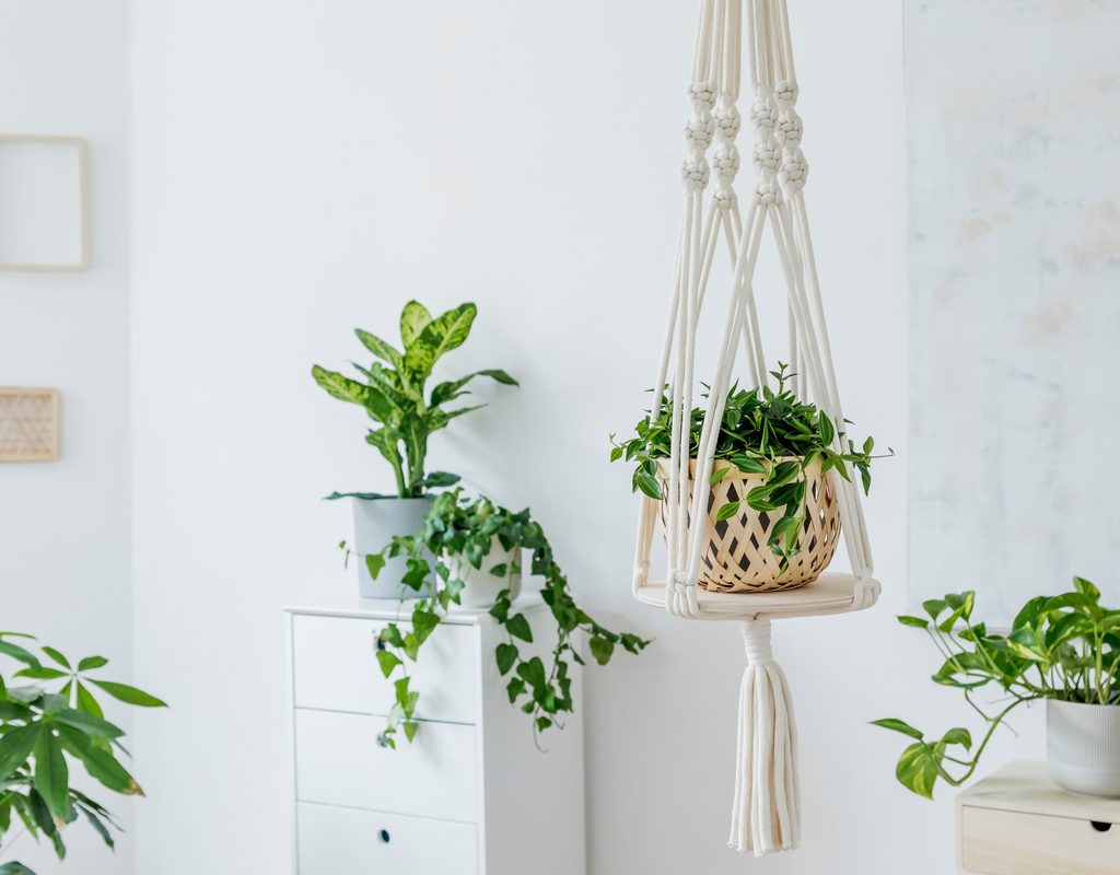 Macrame plant hanger