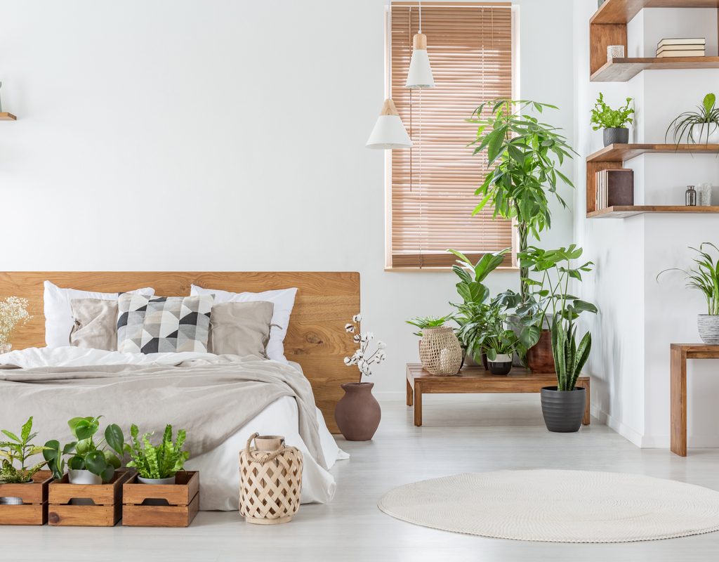 Plants arranged in a bedroom
