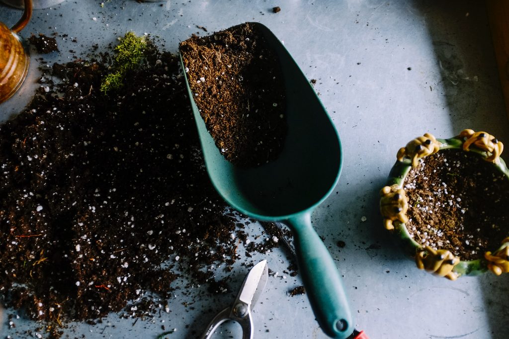 Potting soil spilled on a table with a blue metal hand shovel