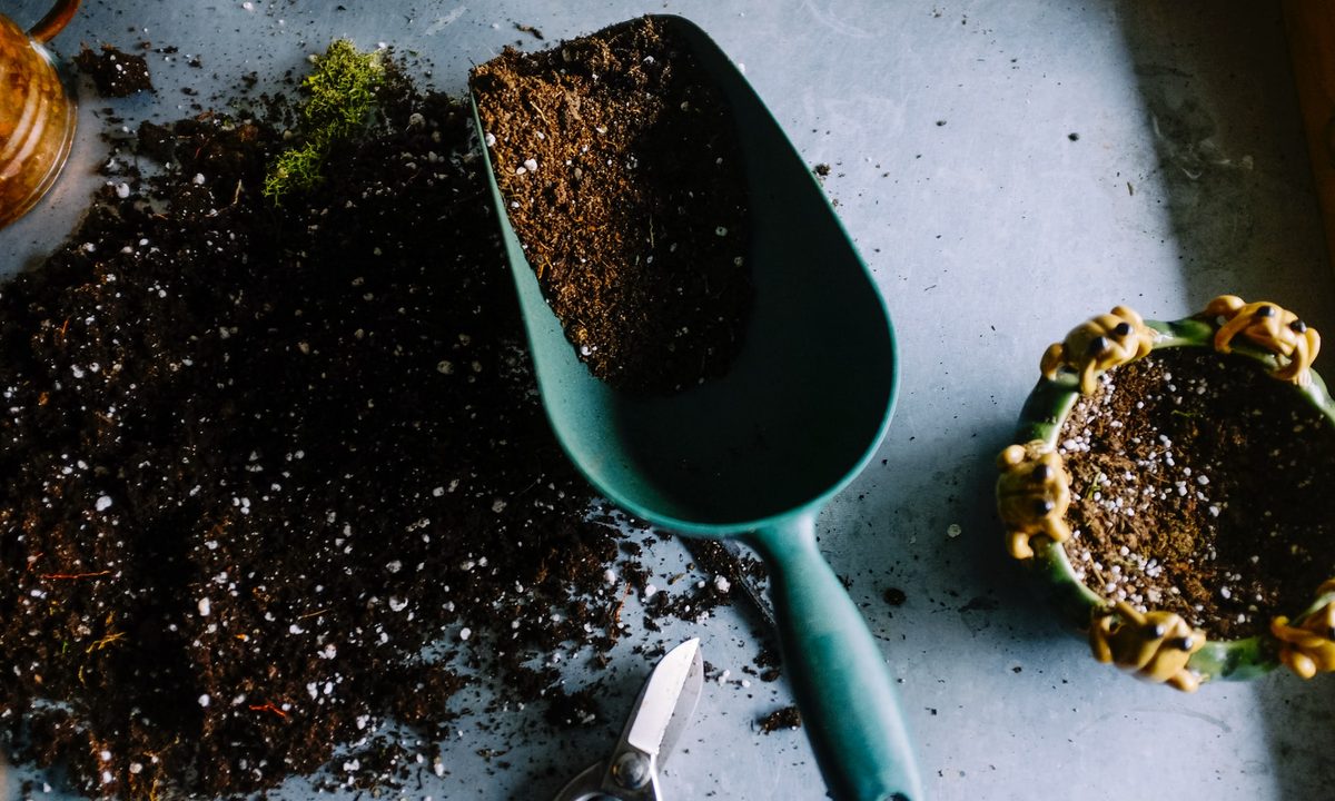 Potting soil spilled on a table with a blue metal hand shovel