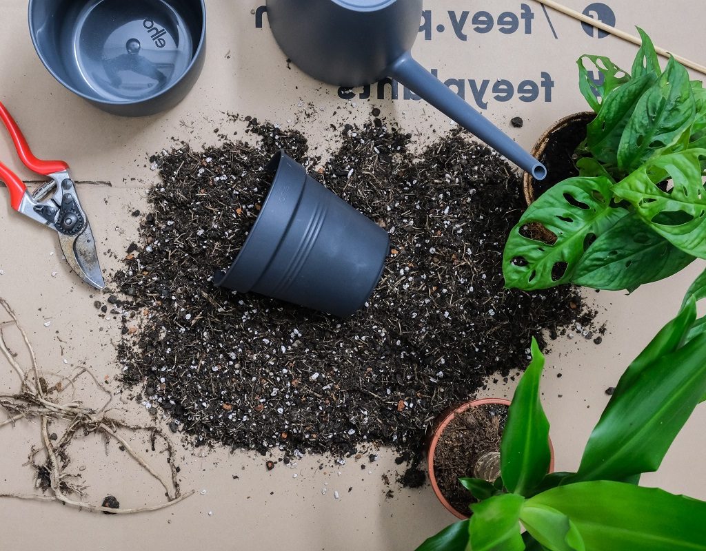 A workspace set up to repot a plant