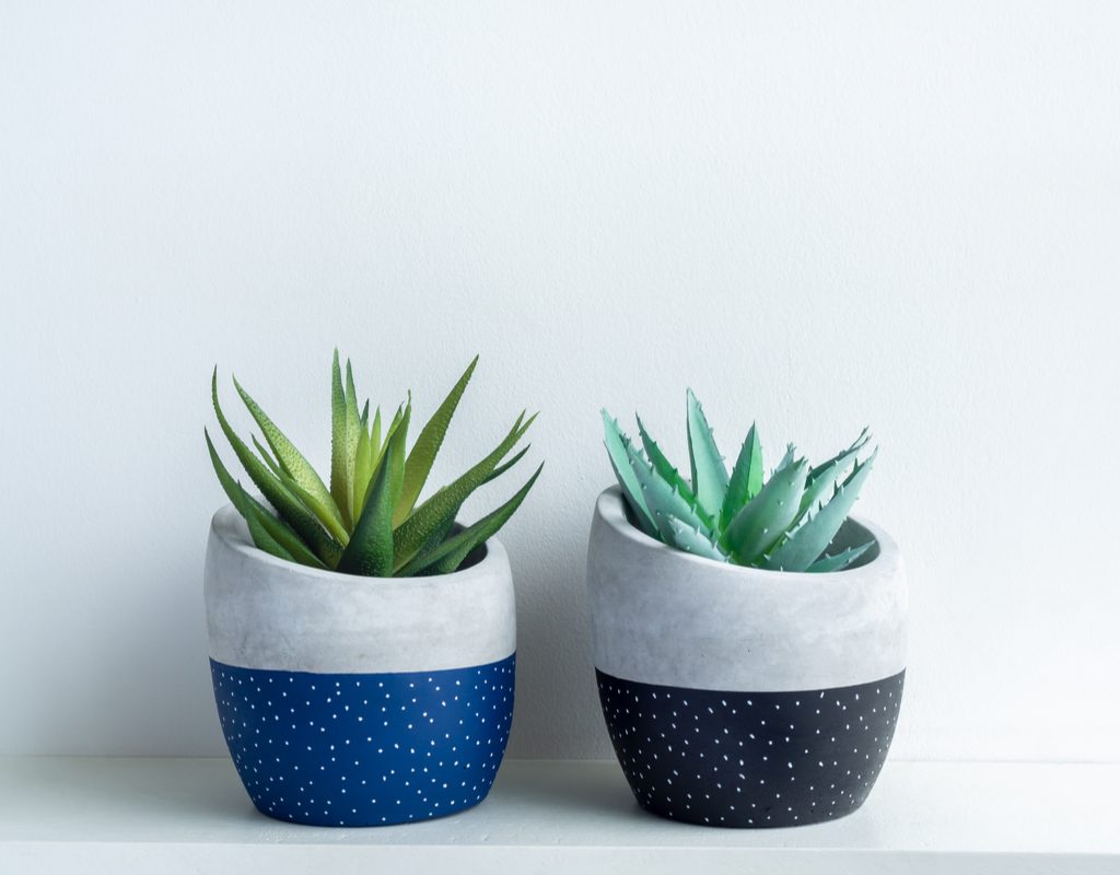 A set of two small handmade succulent pots