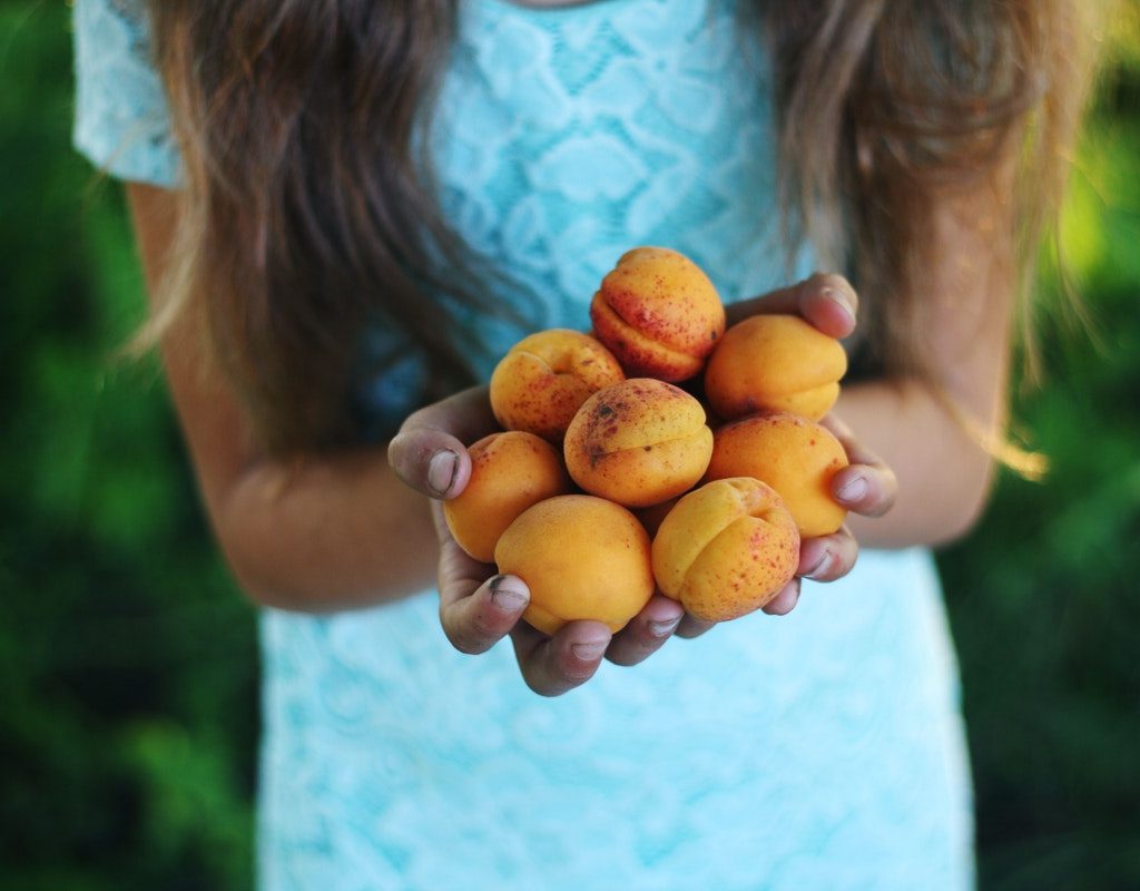 girl in a blue dress with hands full of peaches