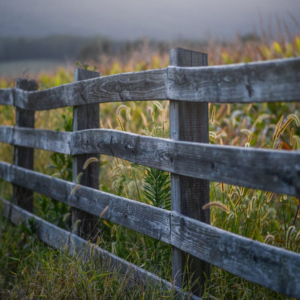 split rail fence with grass