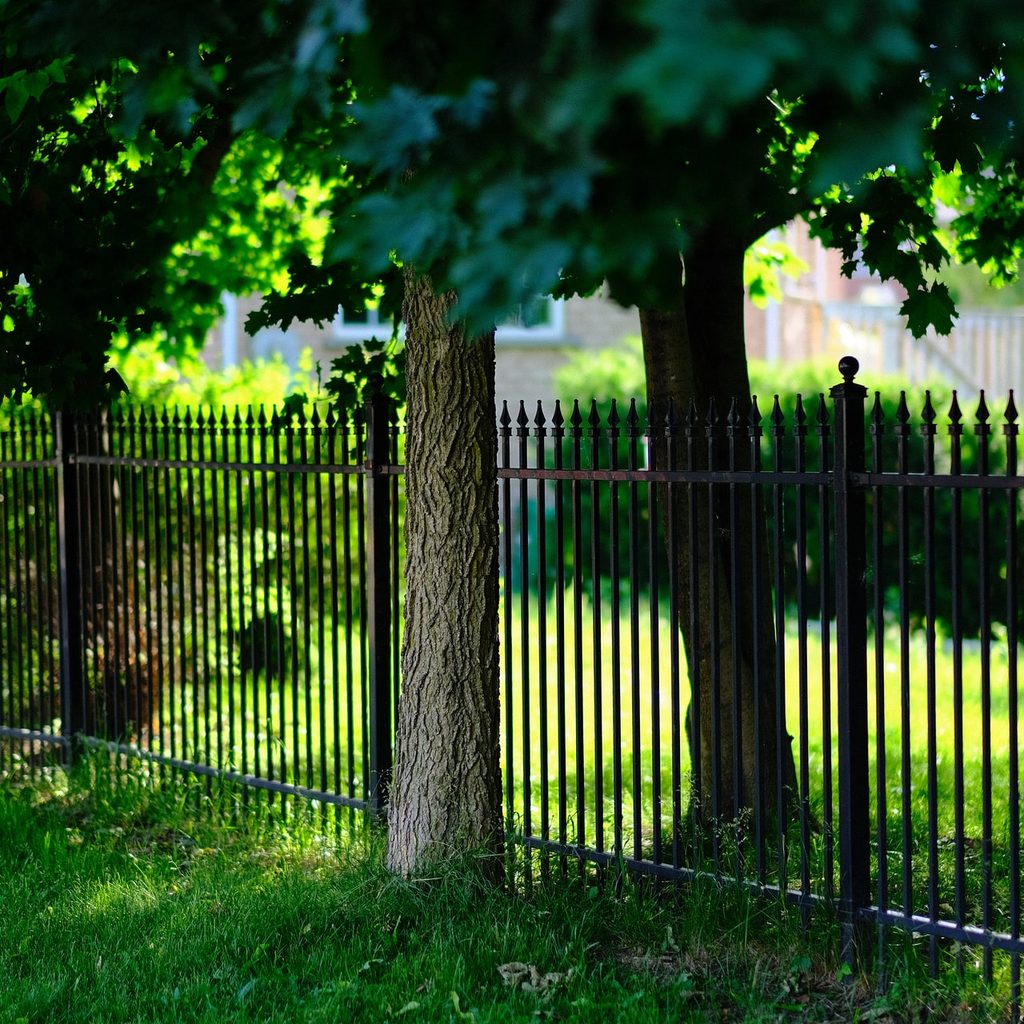 iron fence with trees