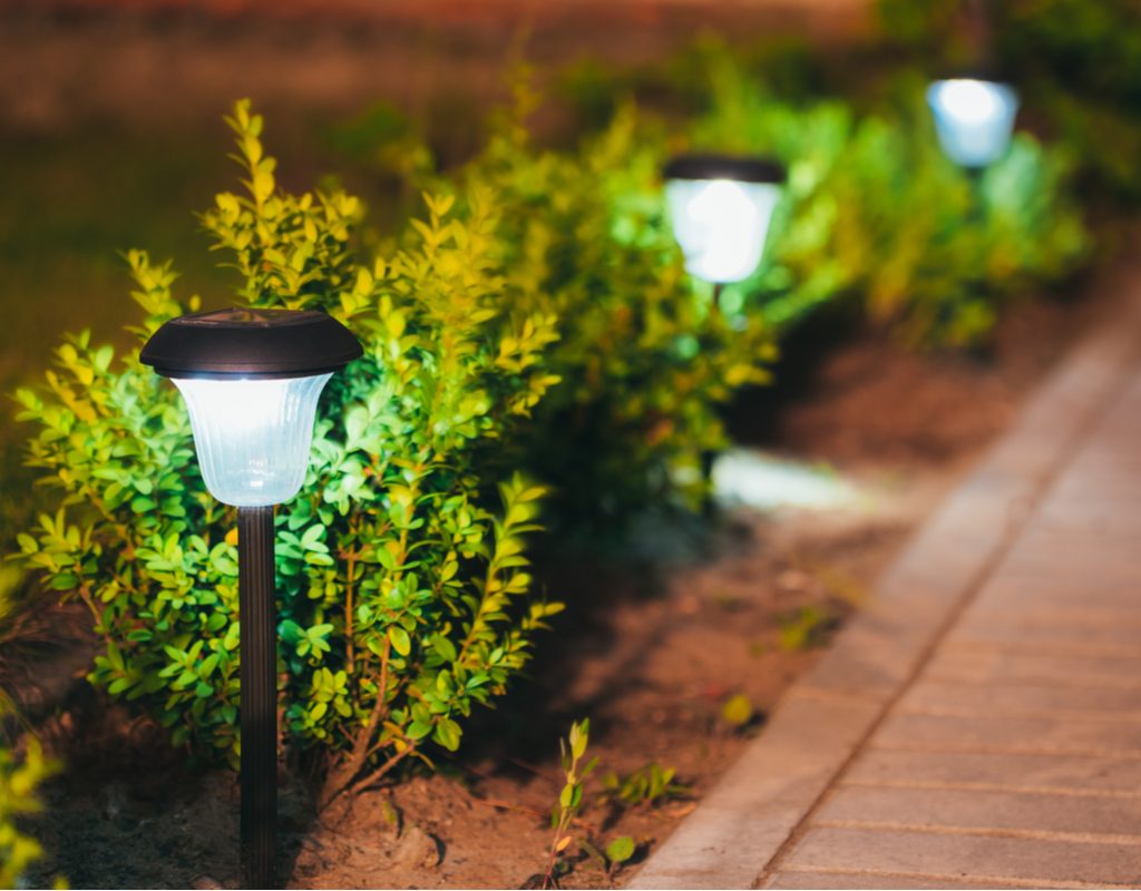 A line of pathway solar lights