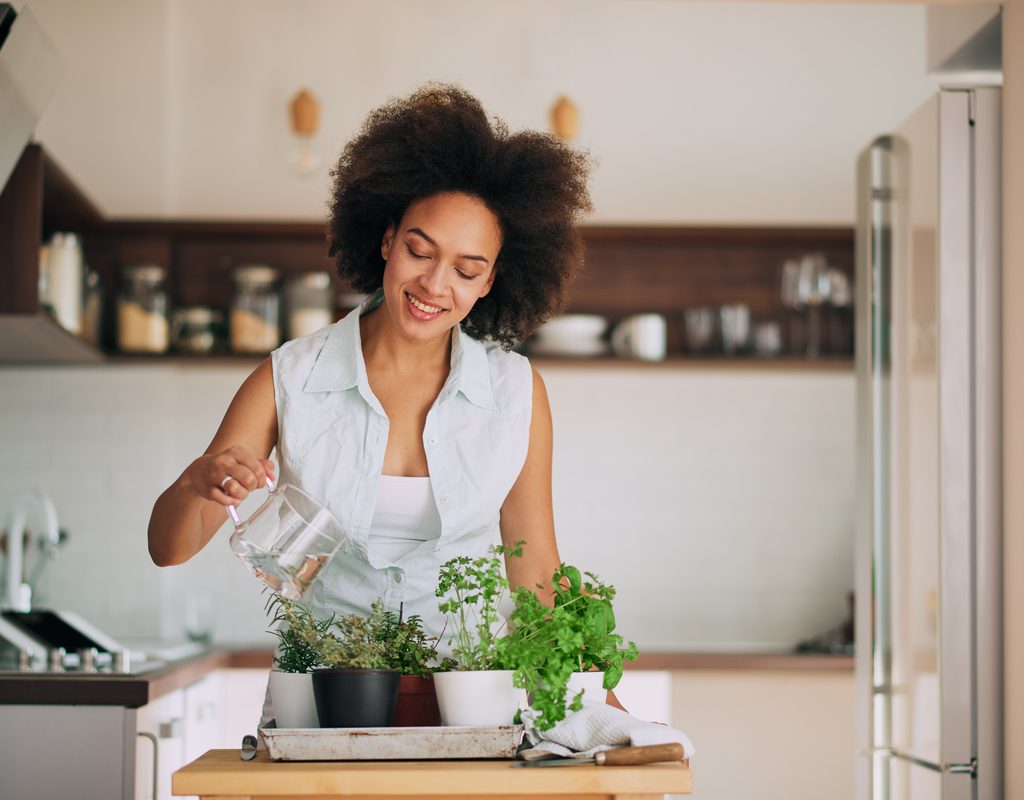 A woman watering her indoor herbs