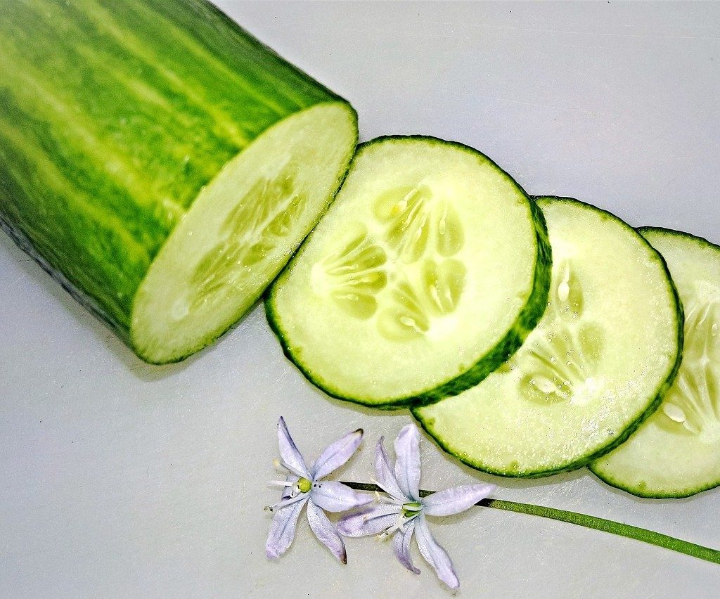 A cucumber with several slices of cucumber sitting next to it on a white background