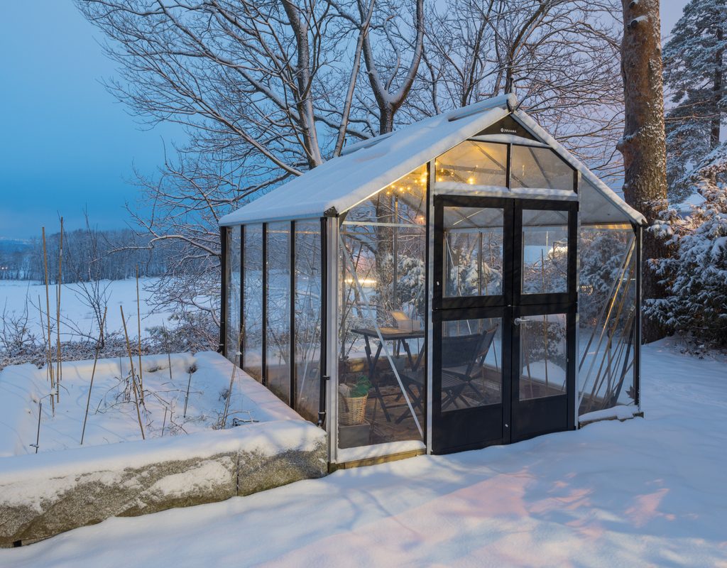 Greenhouse in winter