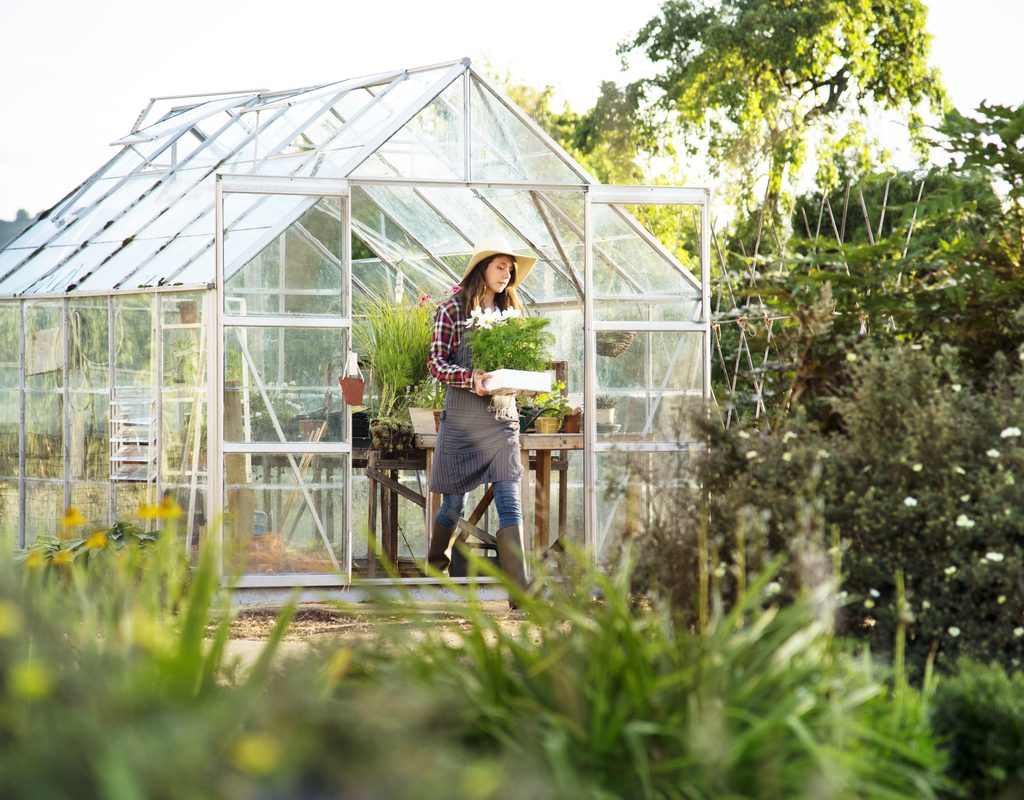 greenhouse worker