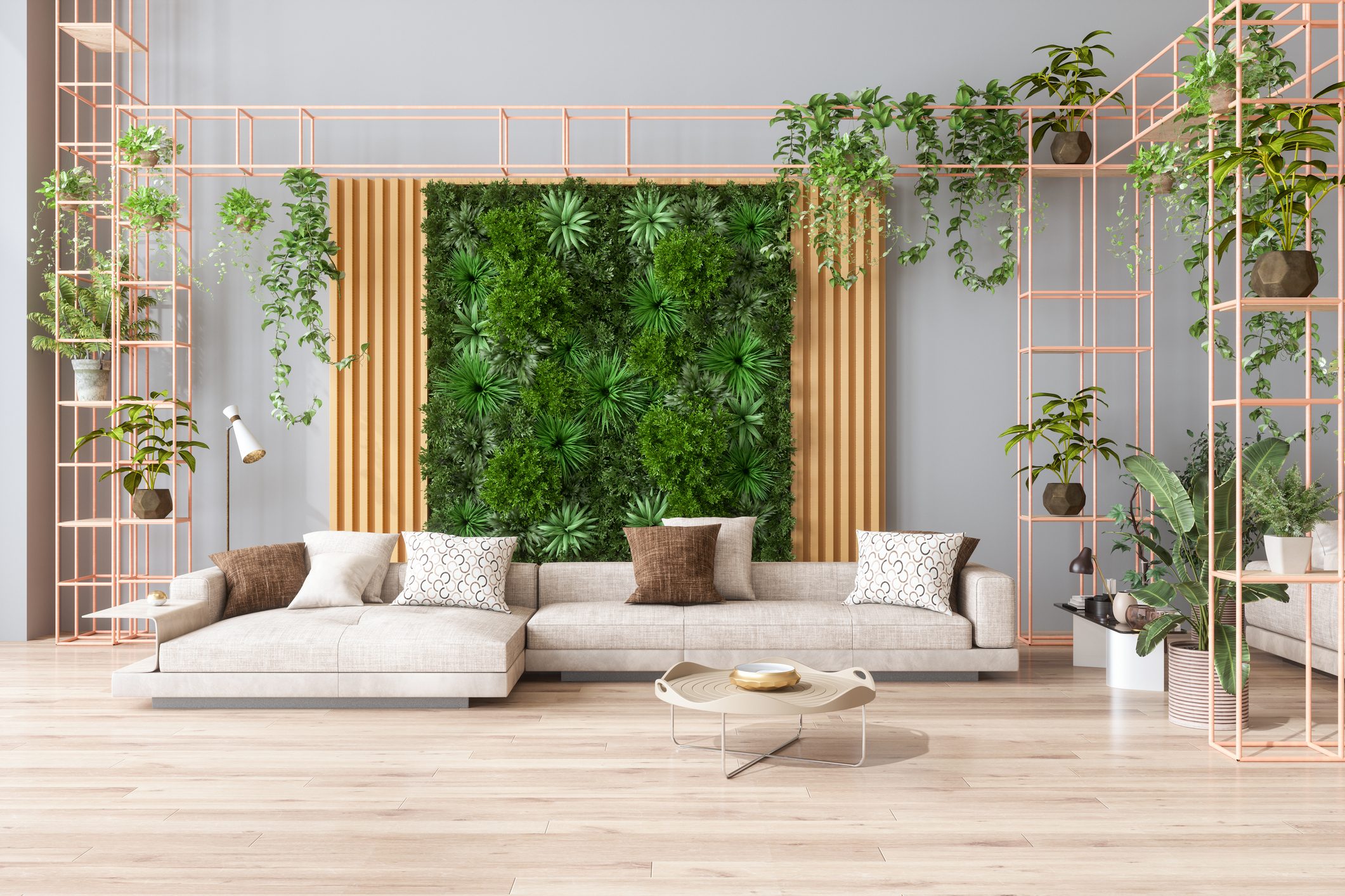 Indoor wall garden