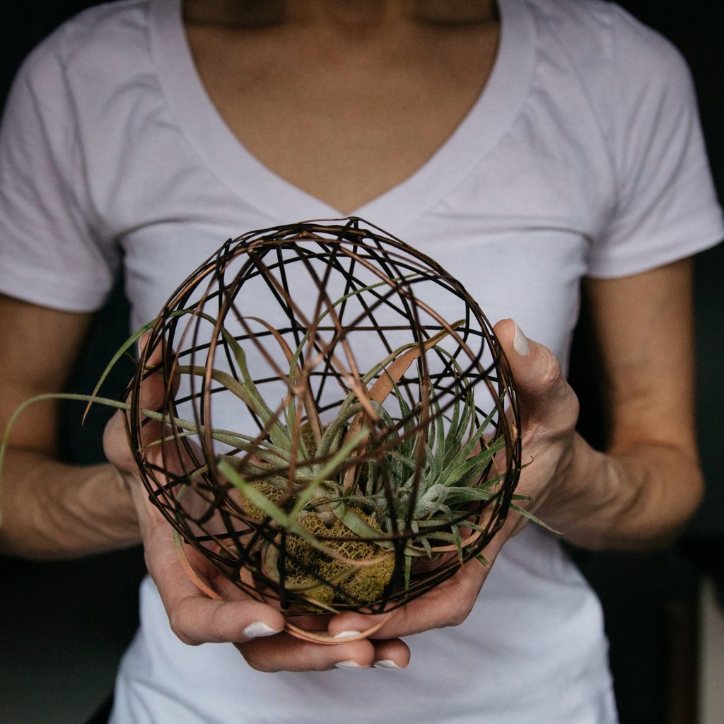 wooden ball air plant holder