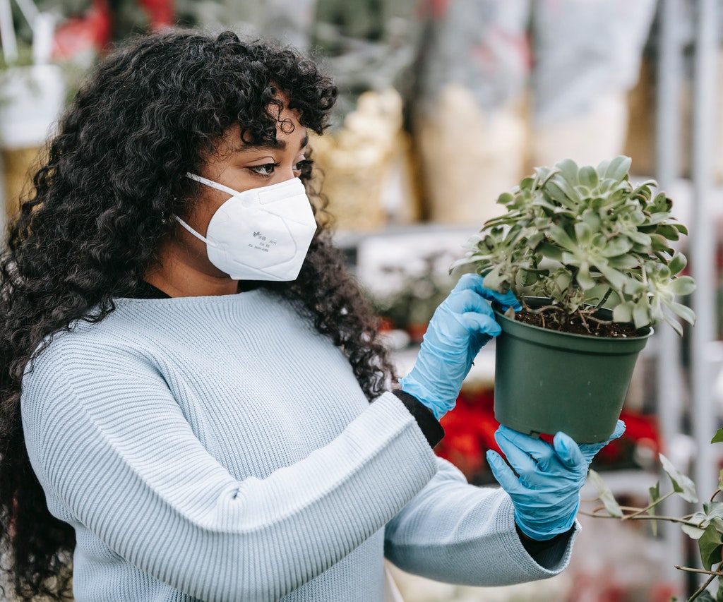 woman inspecting a plant