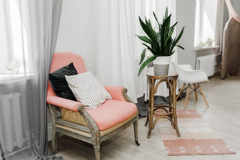 plant on a stand next to chair