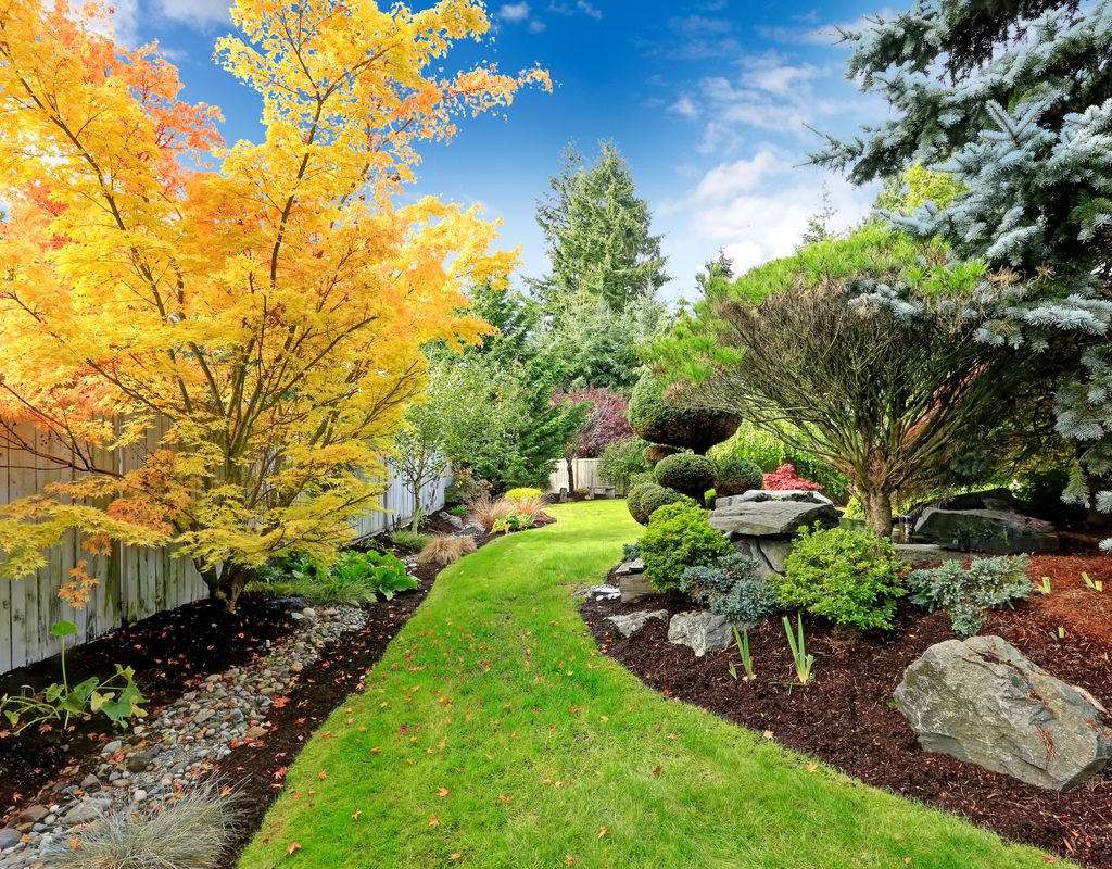 Small yard with well-designed landscaping