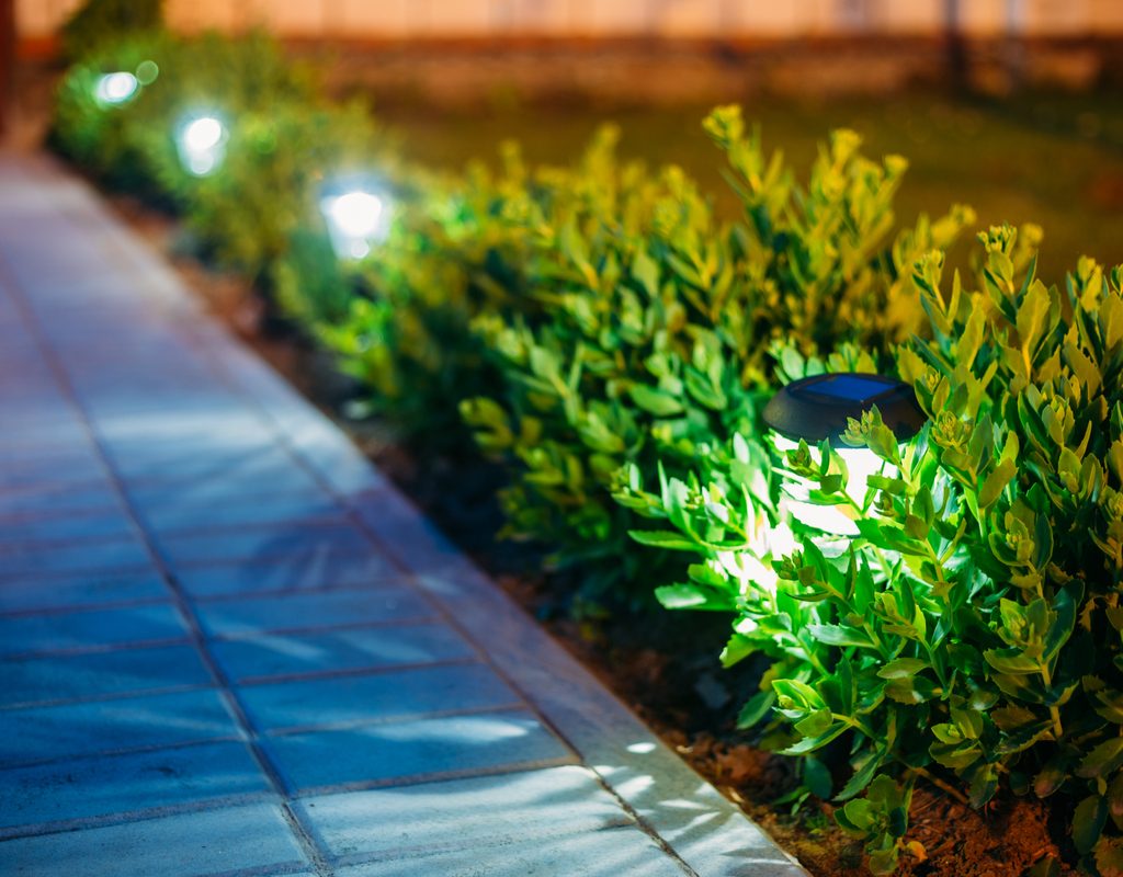 walkway illuminated by solar garden lights