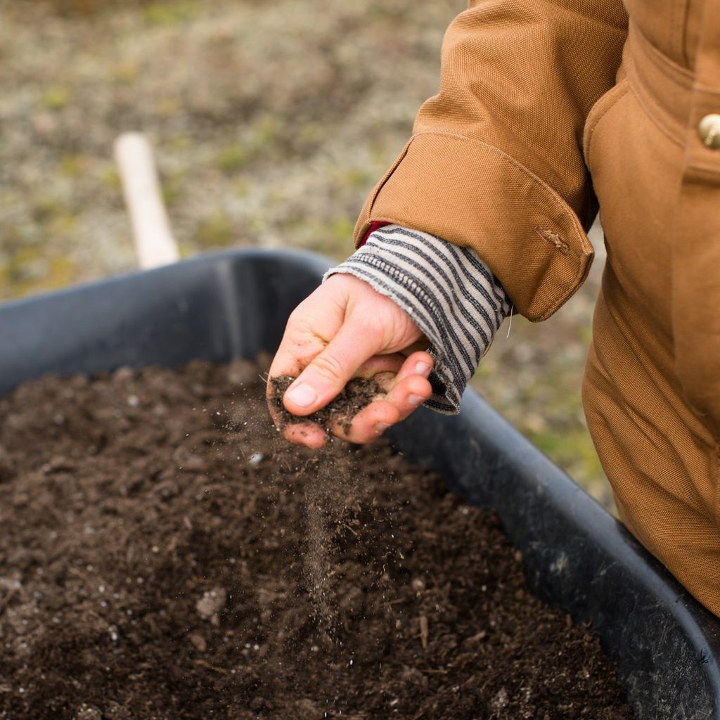Person holding soil