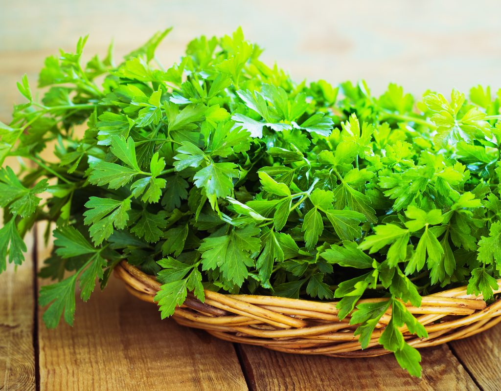 A basket of fresh parsley