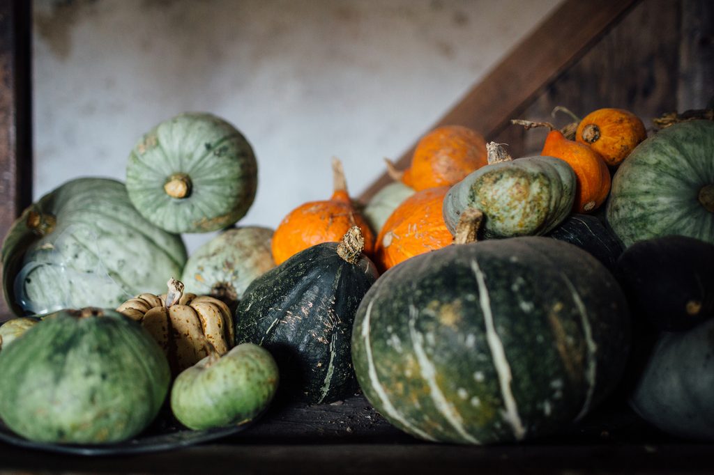 Gourd assortment