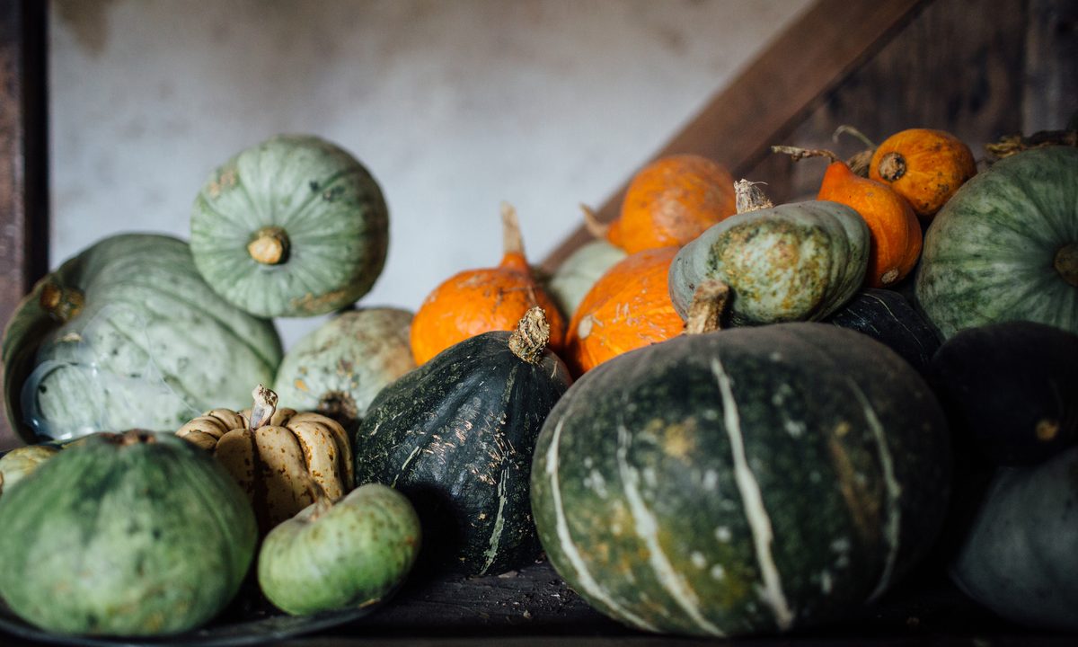 Gourd assortment
