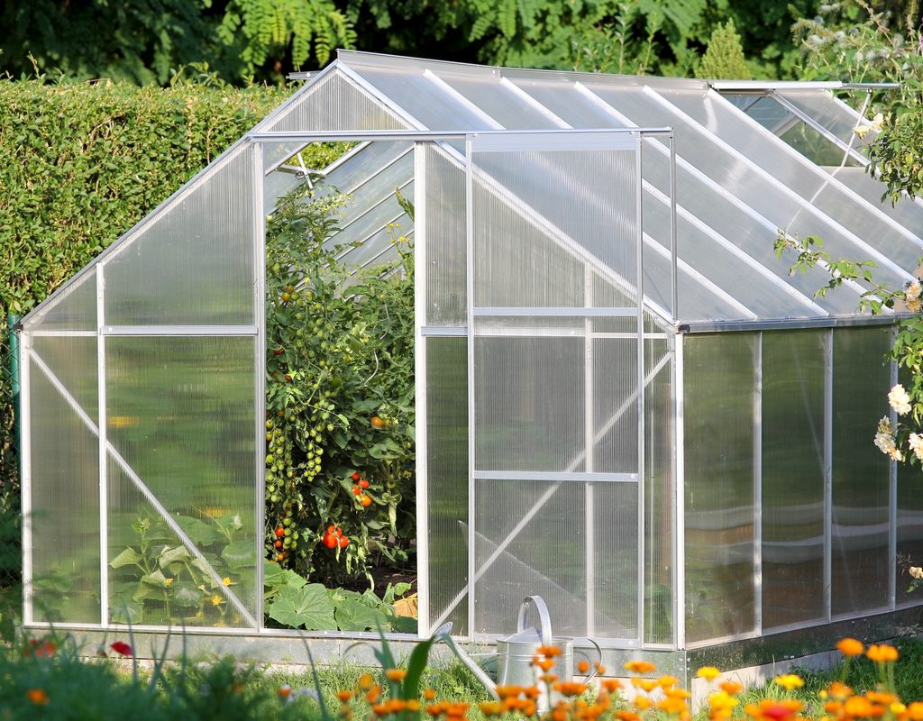A greenhouse in a home garden