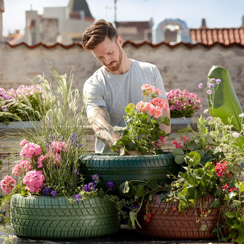 man caring for garden