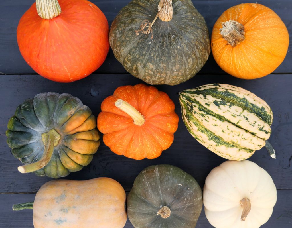 A variety of squash types set on a black table