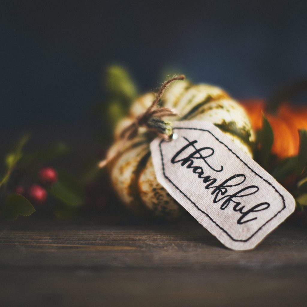 Thanksgiving pumpkin