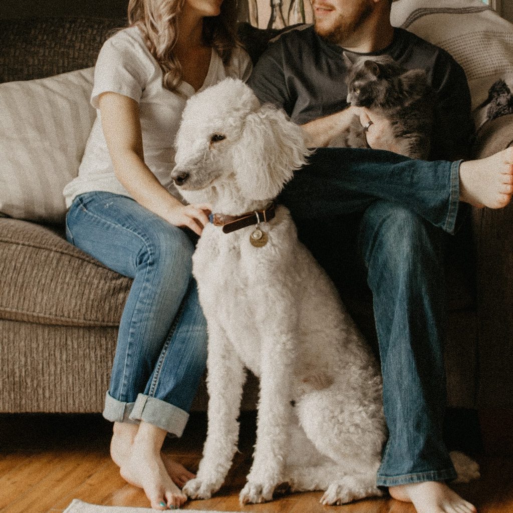Couple with their pets