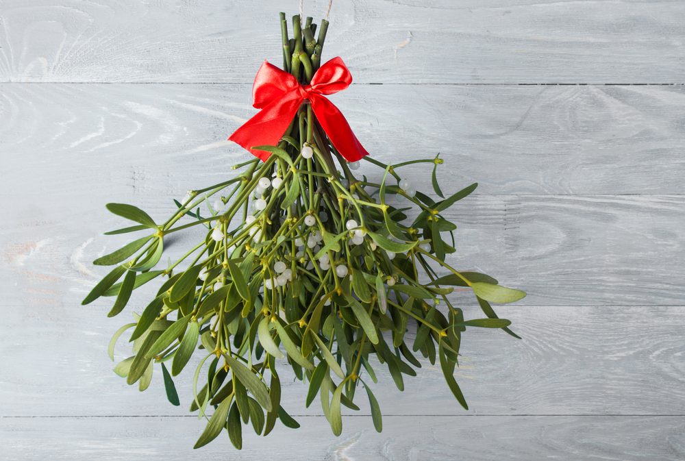 hanging mistletoe decoration