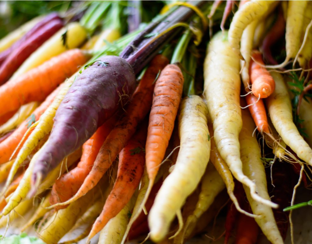 Carrots of different colors