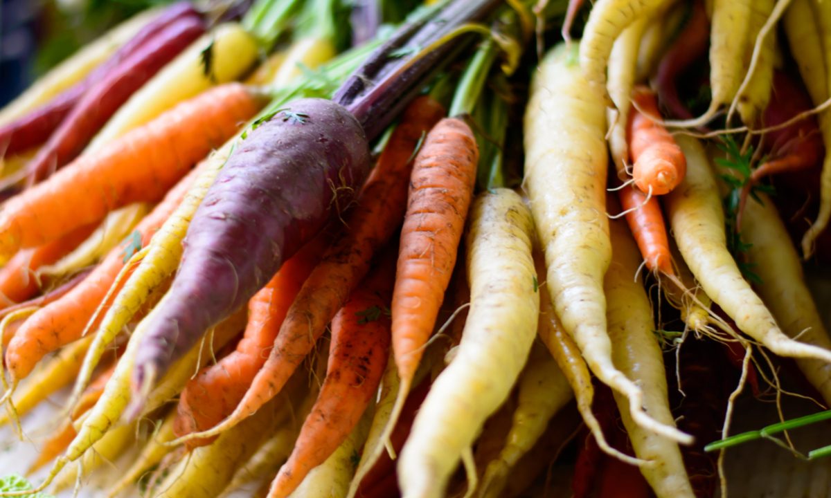 Carrots of different colors