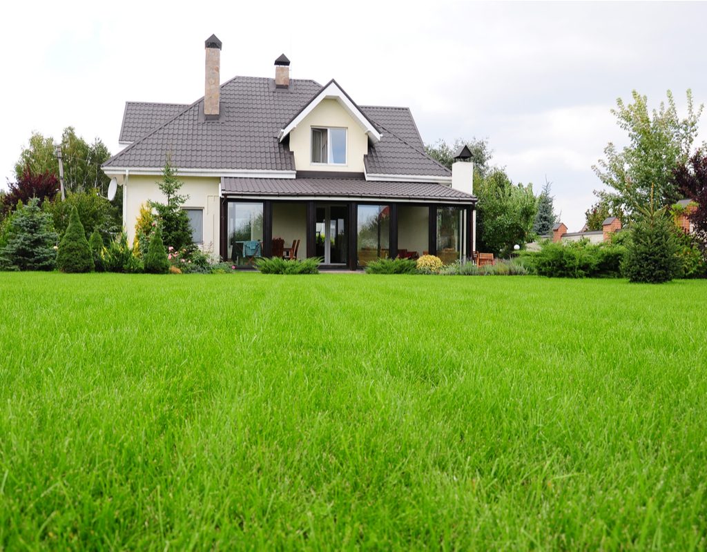 A house with green grass