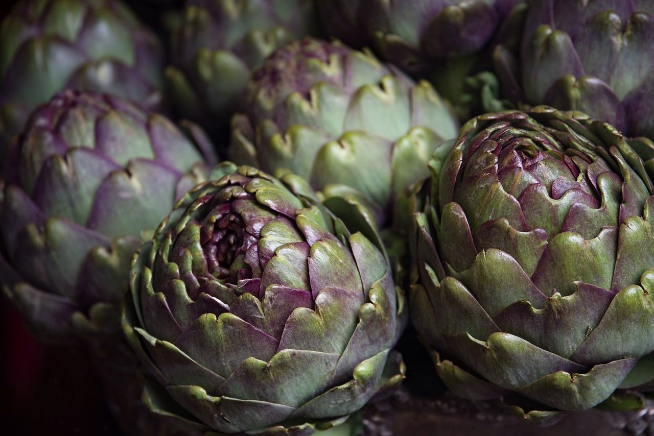 Several harvested artichokes