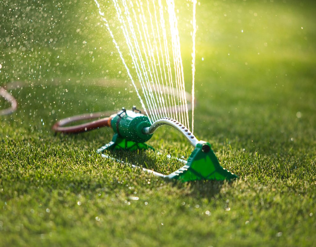 A sprinkler watering a lawn