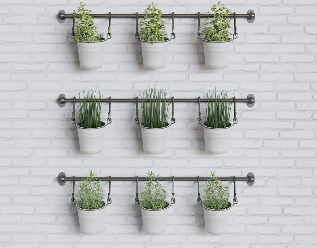 A wall-hanging herb garden