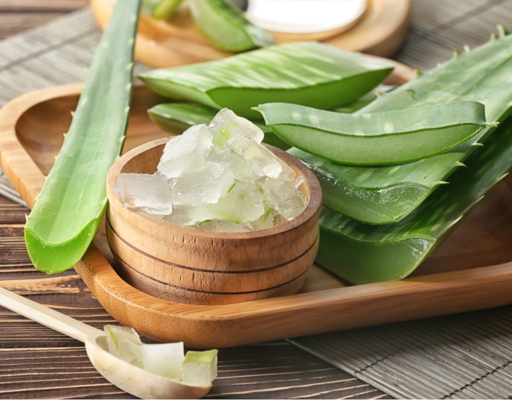 Sliced aloe leaves