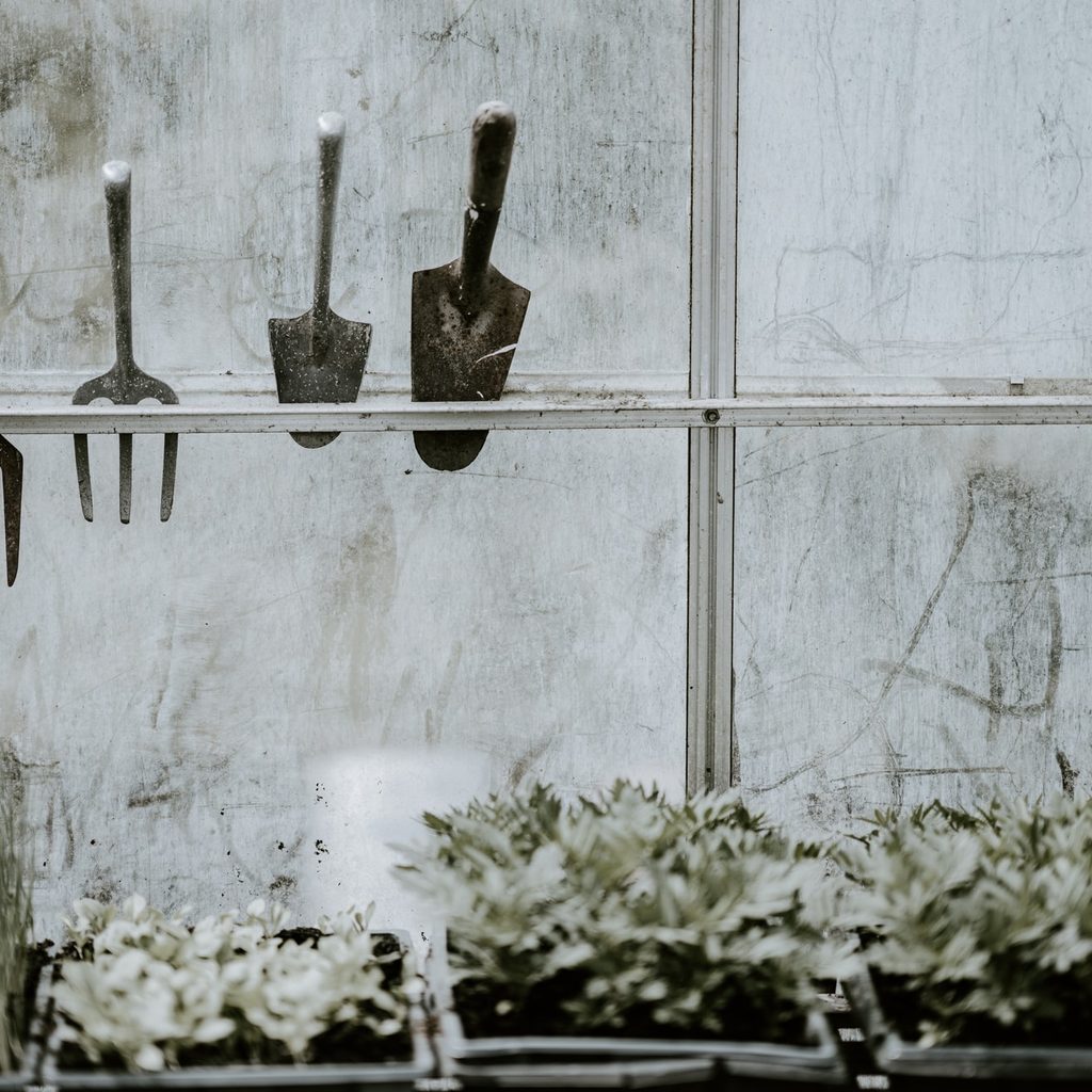 garden tools in greenhouse
