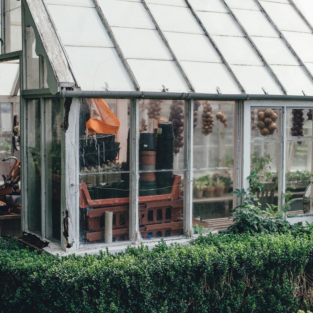 greenhouse
