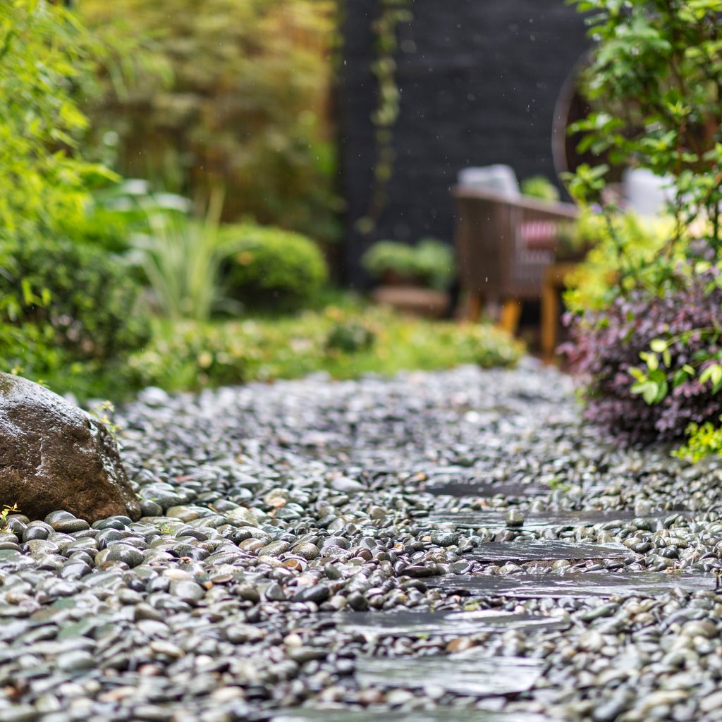 Beautiful rock garden
