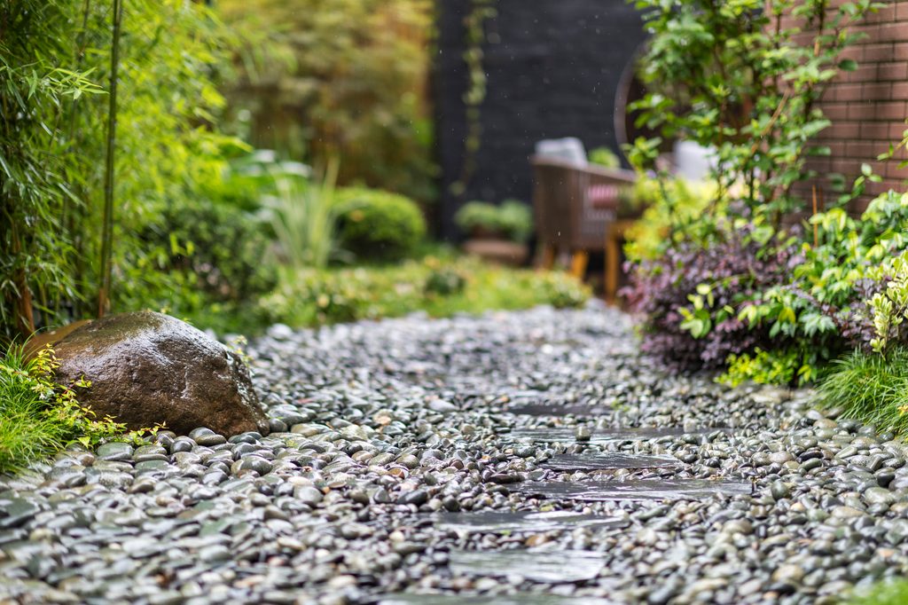 Beautiful rock garden